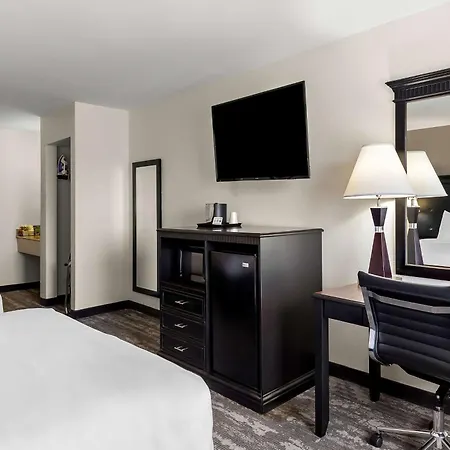 Best Western Saluki Inn