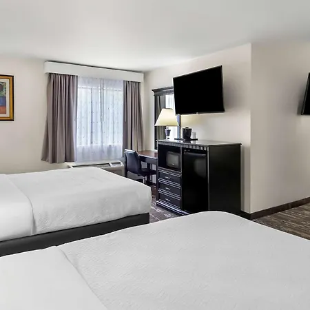 Best Western Saluki Inn