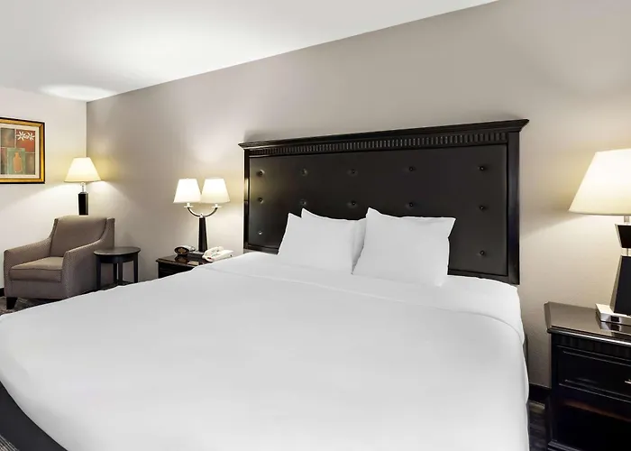 Hotel Western Saluki