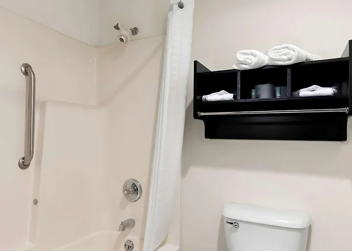 Hotel Western Saluki 3*