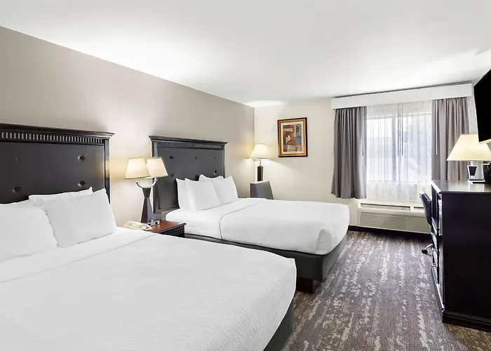 Western Saluki Hotel 3*