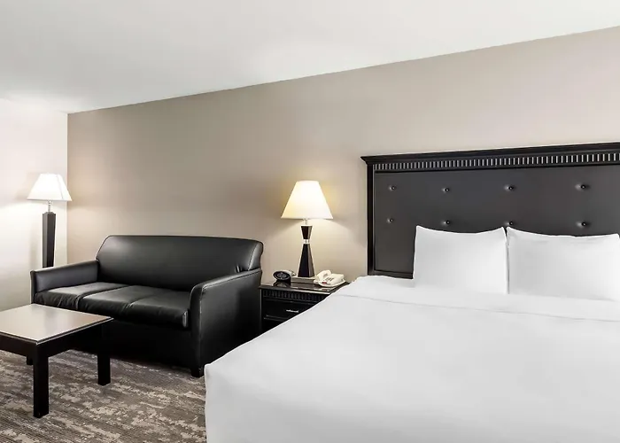 Western Saluki Hotel 3*