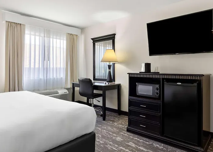 Hotel Western Saluki 3*