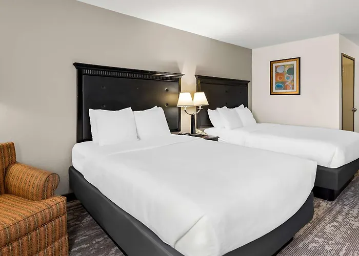 Western Saluki Hotel Carbondale