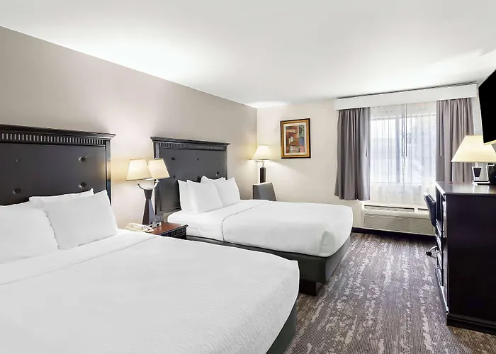 Hotel Western Saluki
