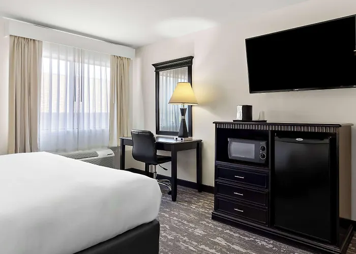 Western Saluki Hotel 3*