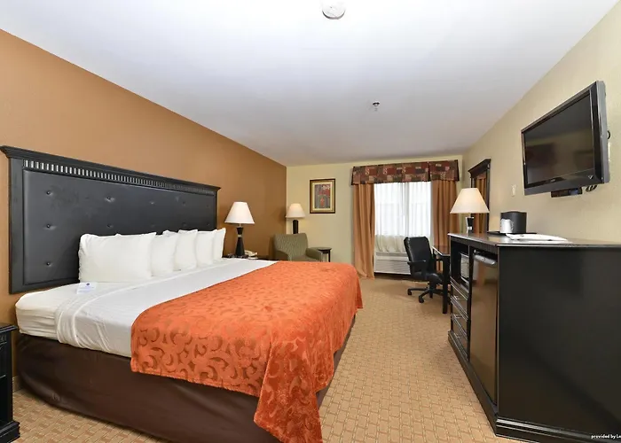 Hotel Western Saluki