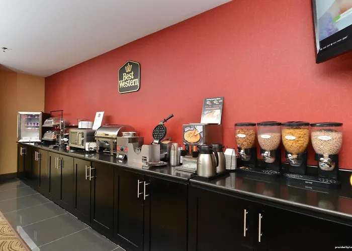 Western Saluki Hotel 3*